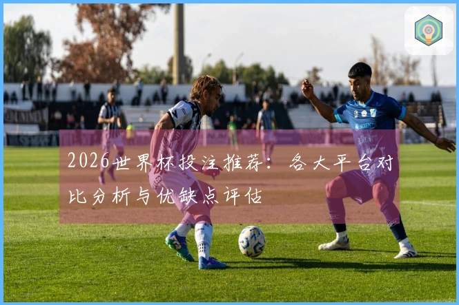 2026世界杯投注推荐：各大平台对比分析与优缺点评估