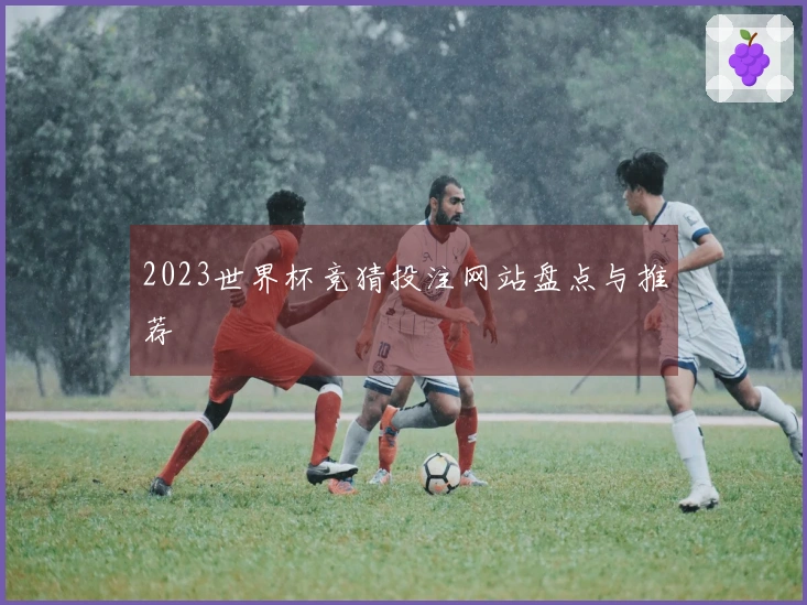 2023世界杯竞猜投注网站盘点与推荐
