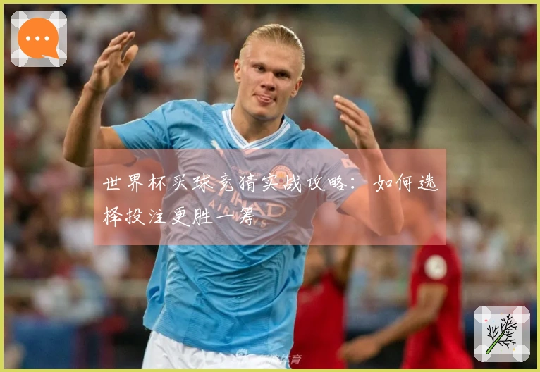 世界杯买球竞猜实战攻略：如何选择投注更胜一筹